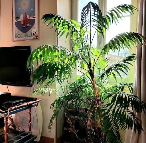 Σπίτι διακοπών Le Calme De La Campagne Proximite Center Parcs